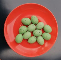 Aktuelles - Süsses  : Möwen-Eier, 150g